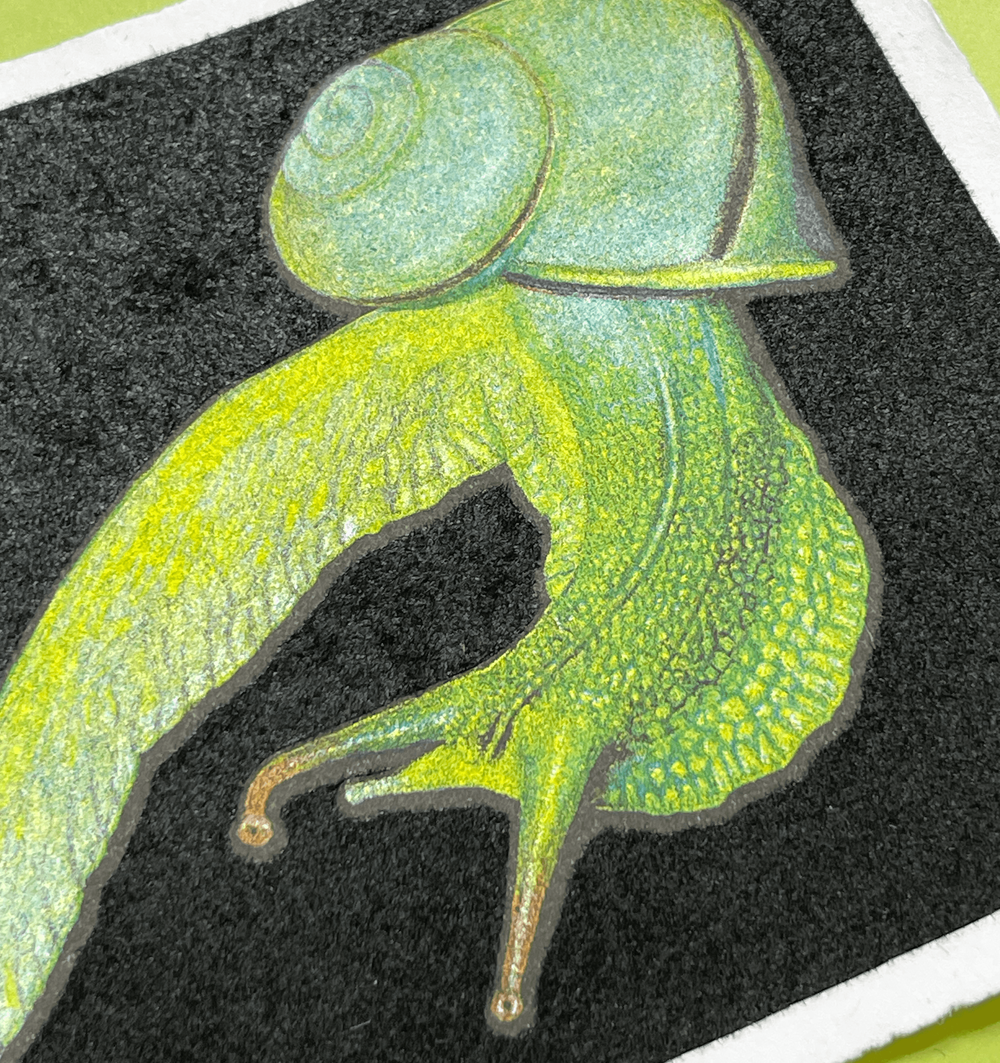 tk　HELLOS Snail 3rd ロット Blackカラー SNAIL TRIPTYCH - Special Edition Flocked Risographs by Skorb